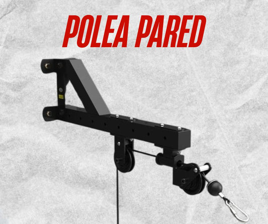 Polea de pared
