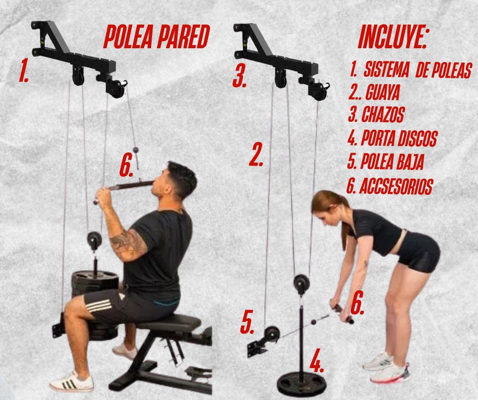 Polea de pared