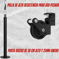 Polea de pared